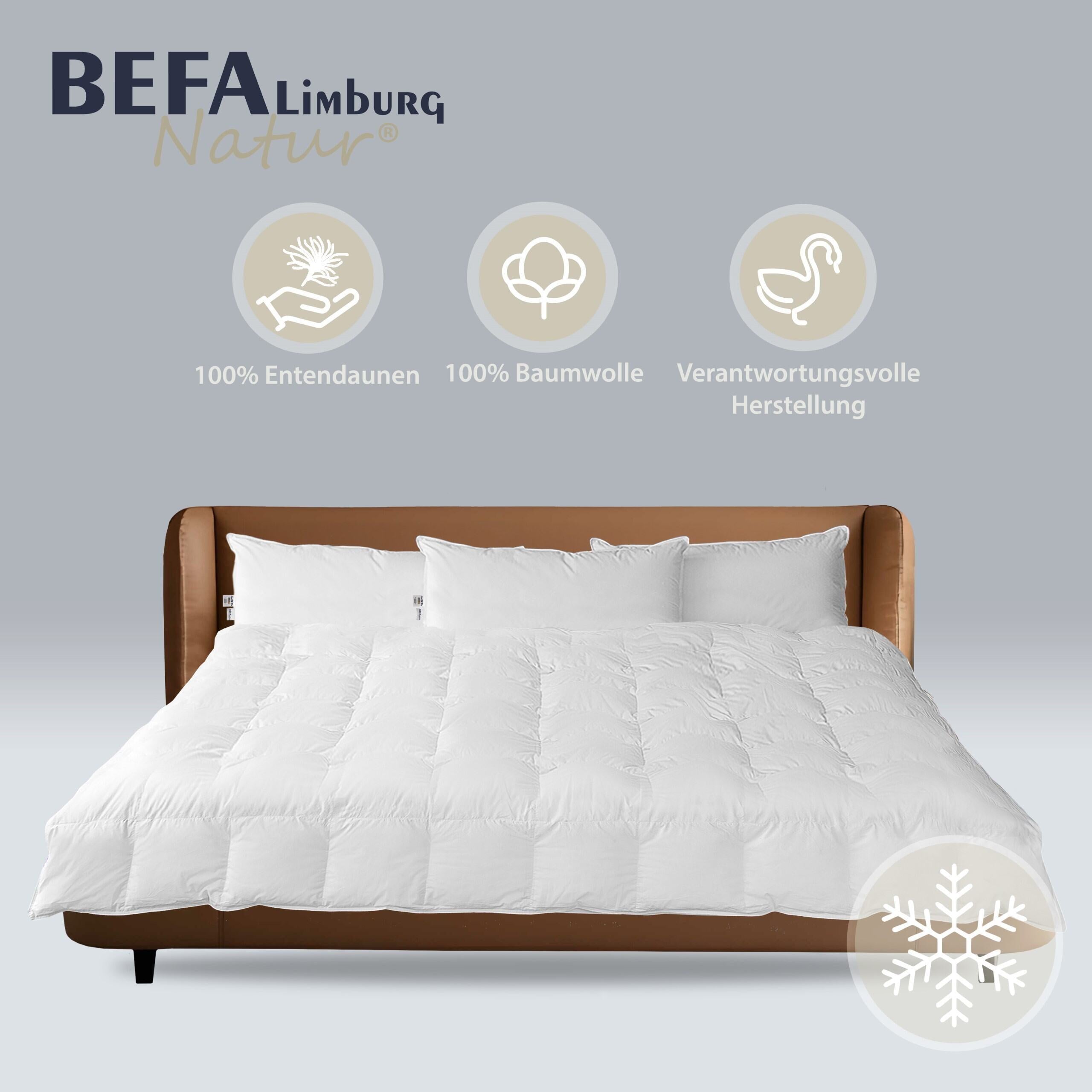 Reine Daunendecke - 100% Daune, Winter (2 Stück Set) | BEFA Limburg