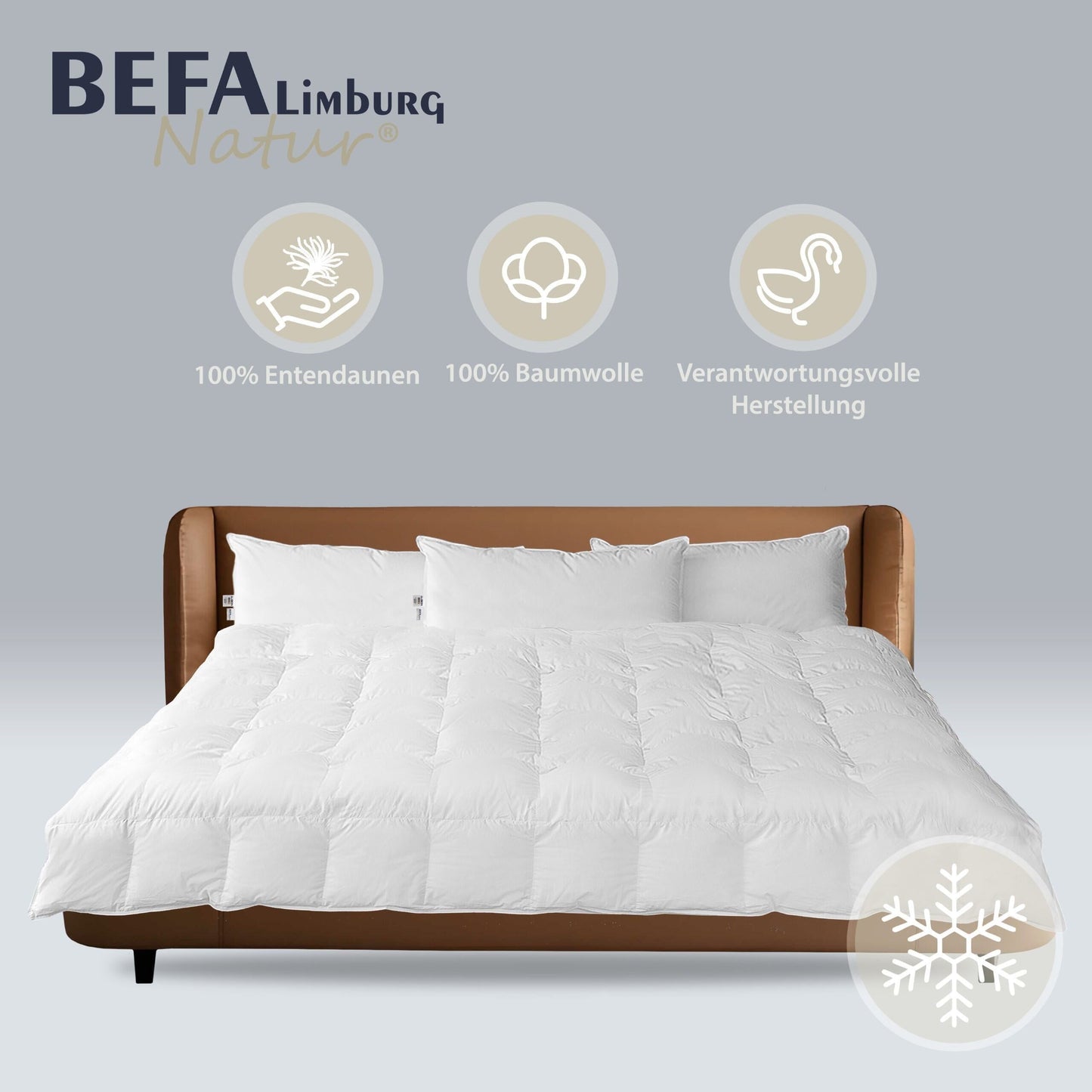 Reine Daunendecke - 100% Daune, Winter (2 Stück Set) | BEFA Limburg