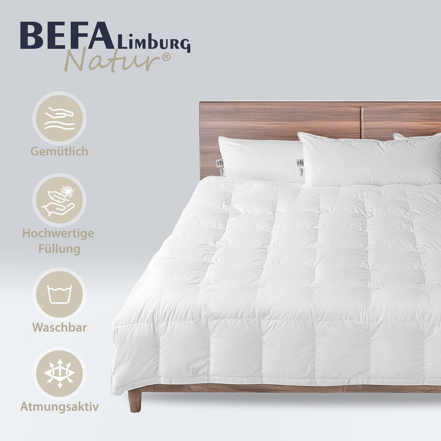 Daunendecke – 60% Daune, Winterdecke - Detailansicht | BEFA Limburg