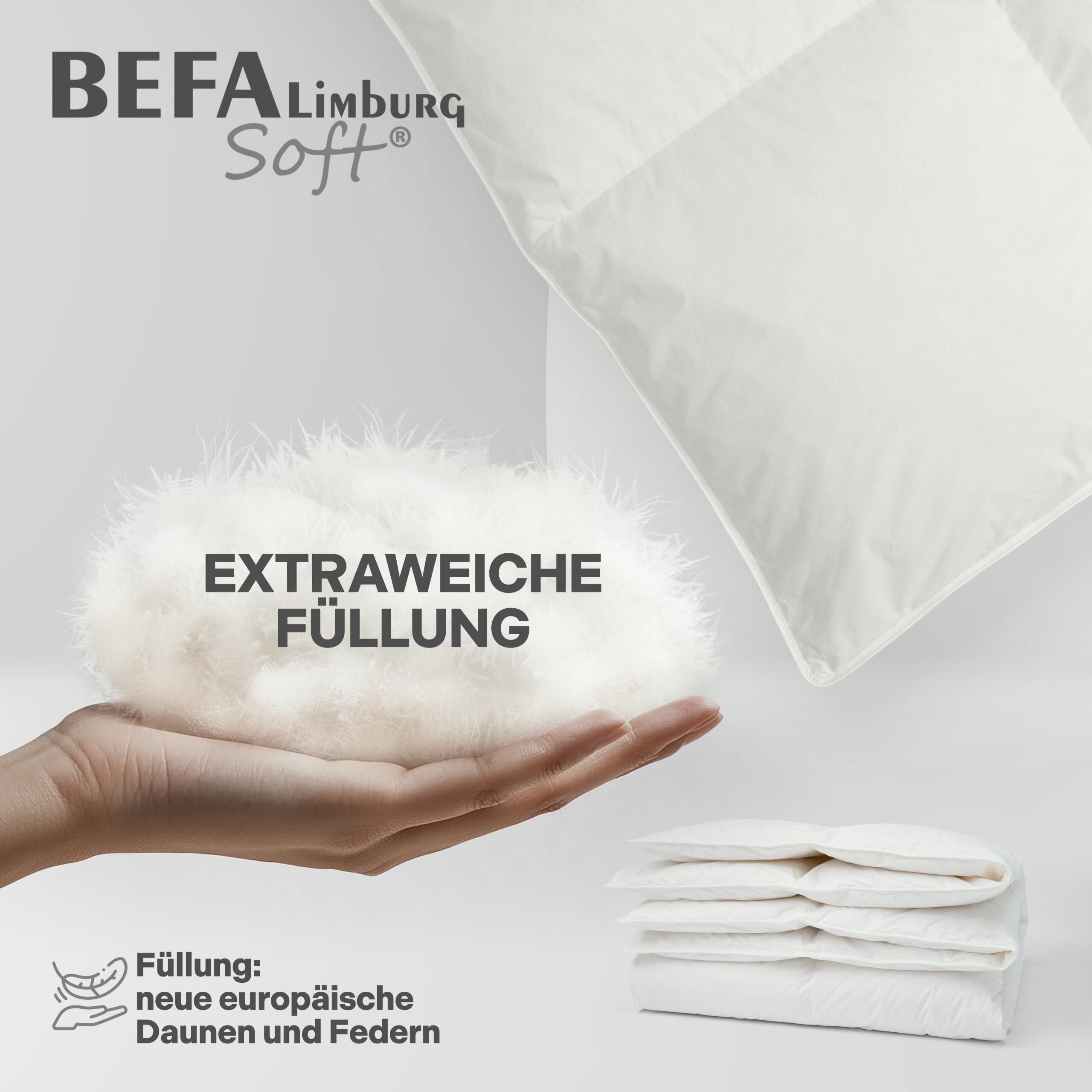 Federdecke - 90% Federn, Winterdecke | BEFA Limburg