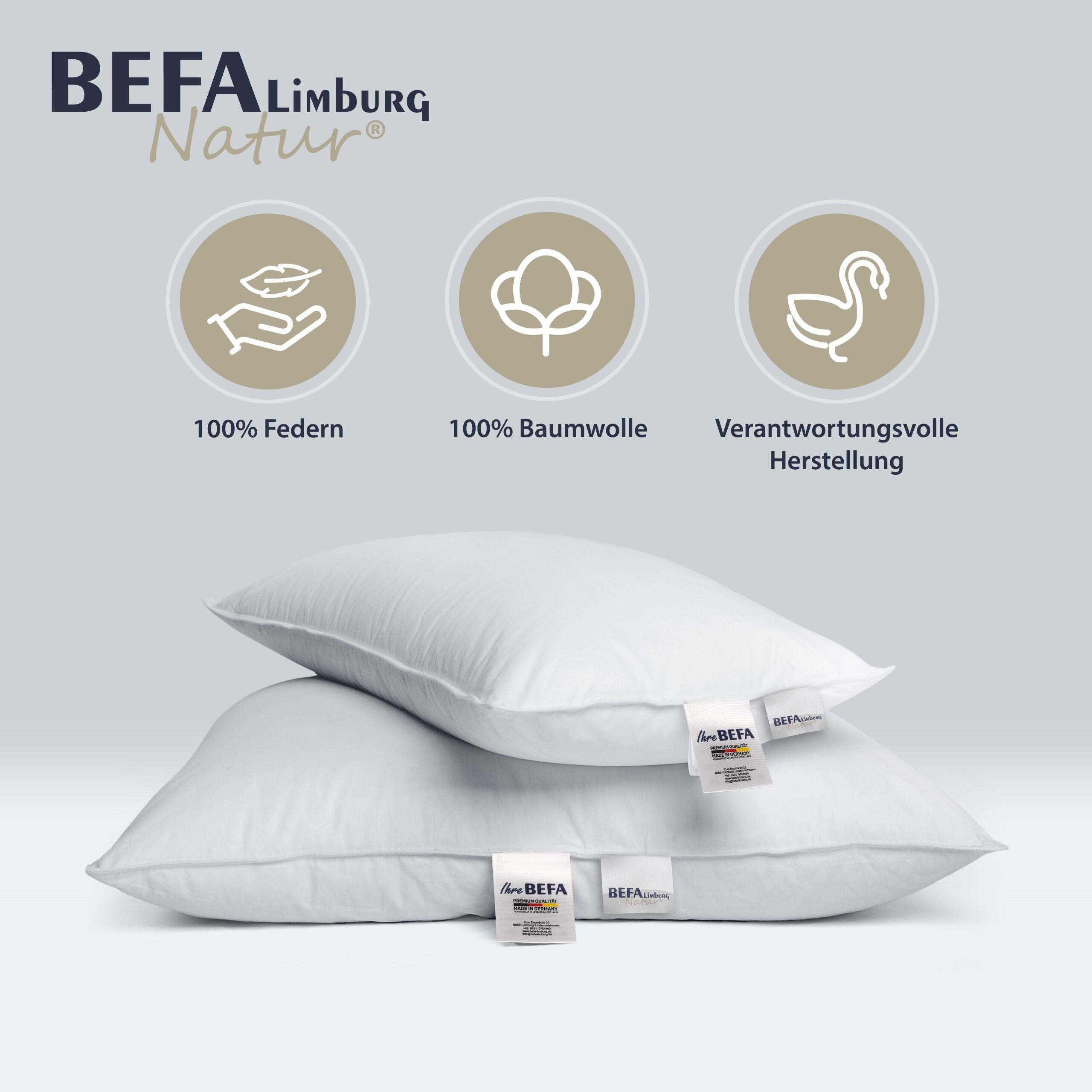 Kleinkissen/ Dekokissen Federn - Detailansicht | BEFA Limburg