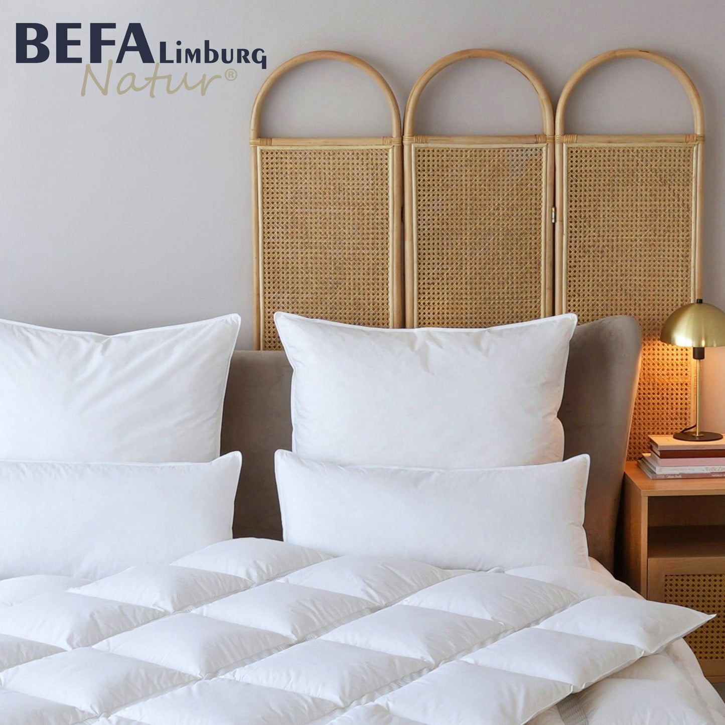 Kleinkissen/ Dekokissen Federn | BEFA Limburg
