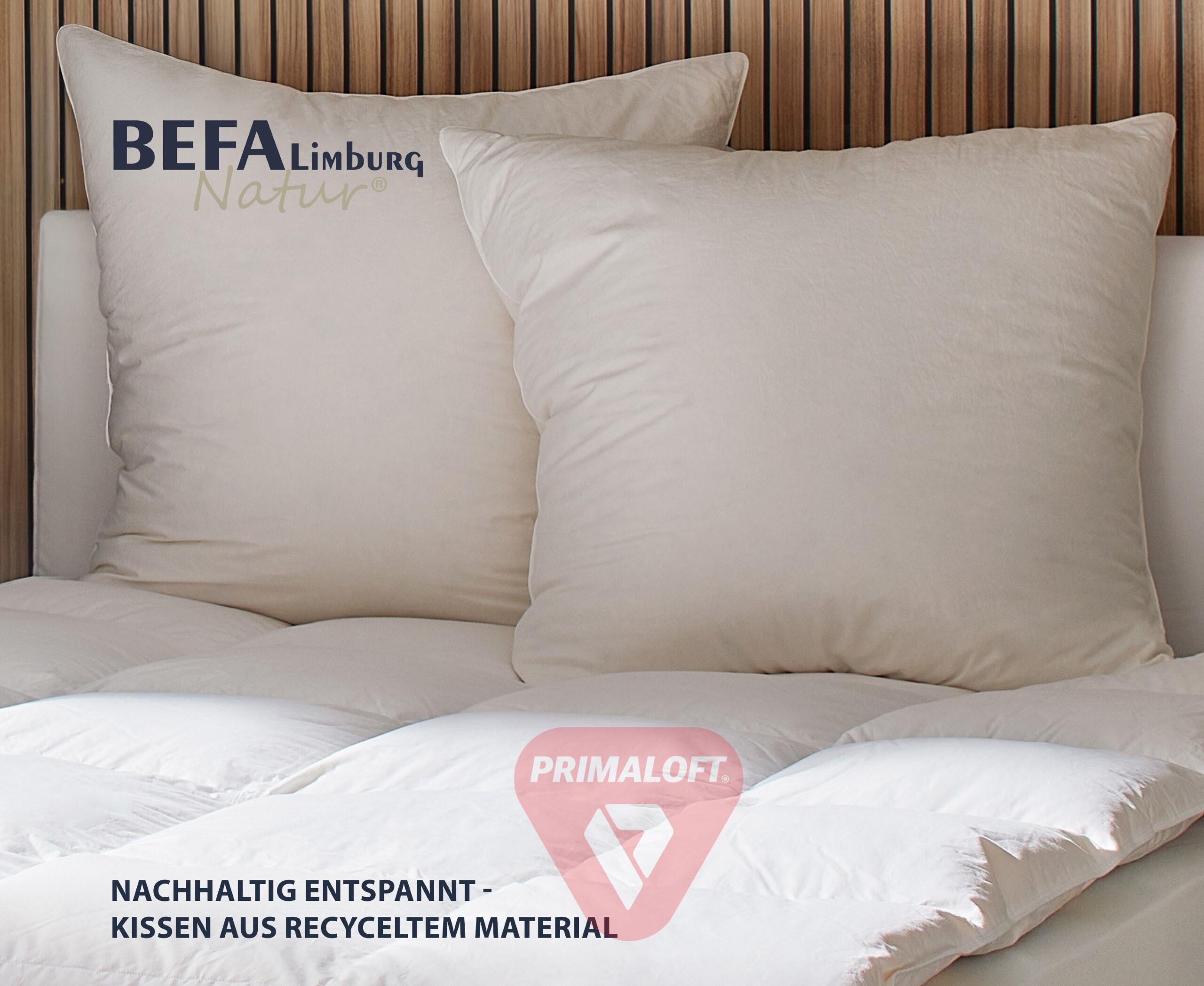 Primaloft Bio Kopfkissen | BEFA Limburg
