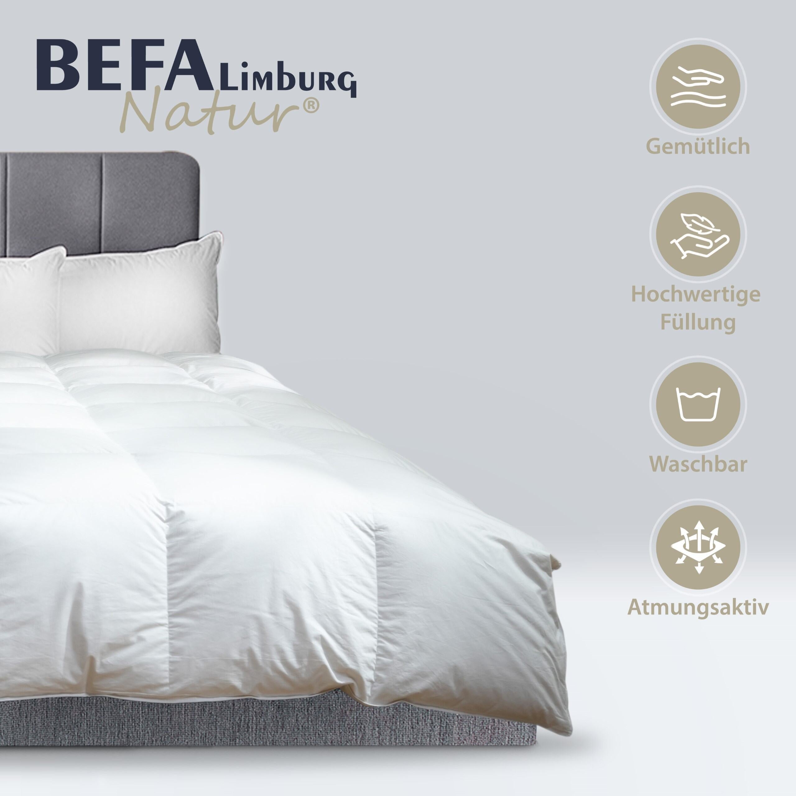 Gänsedaunendecke – 90% Gänsedaune, Sommerdecke - Detailansicht | BEFA Limburg