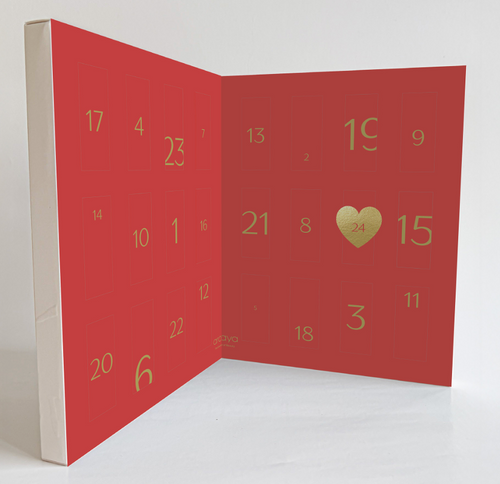 Load image 1 in gallery view. Ampullen-Adventskalender 2026