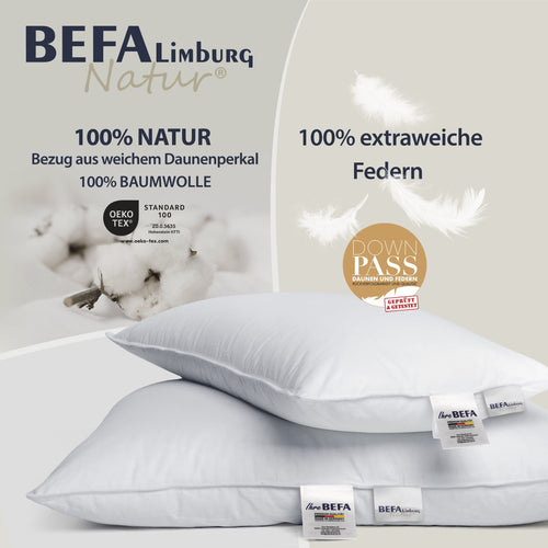 Bild 1 in Galerieansicht laden. Federkissen - 100% Federn (2 Stück Set) - Etikett | BEFA Limburg