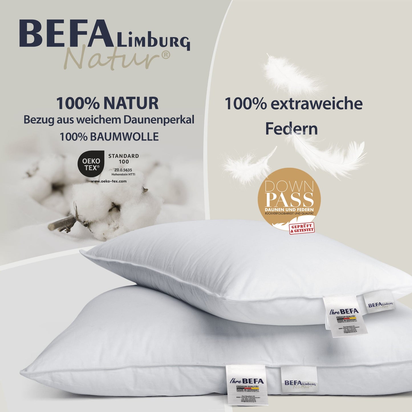 Federkissen - 100% Federn (2 Stück Set) - Etikett | BEFA Limburg