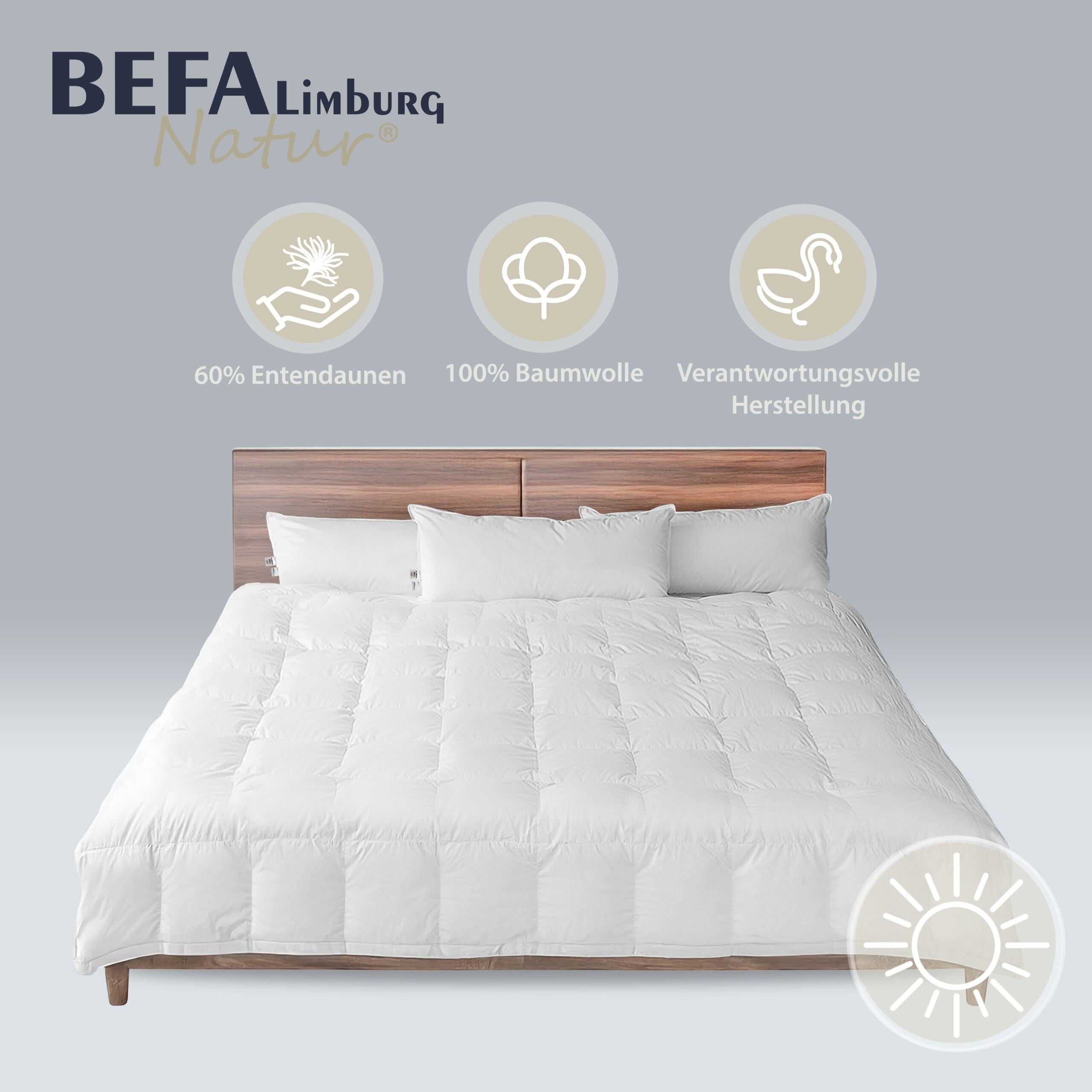 Daunendecke – 60% Daune, Sommerdecke | BEFA Limburg