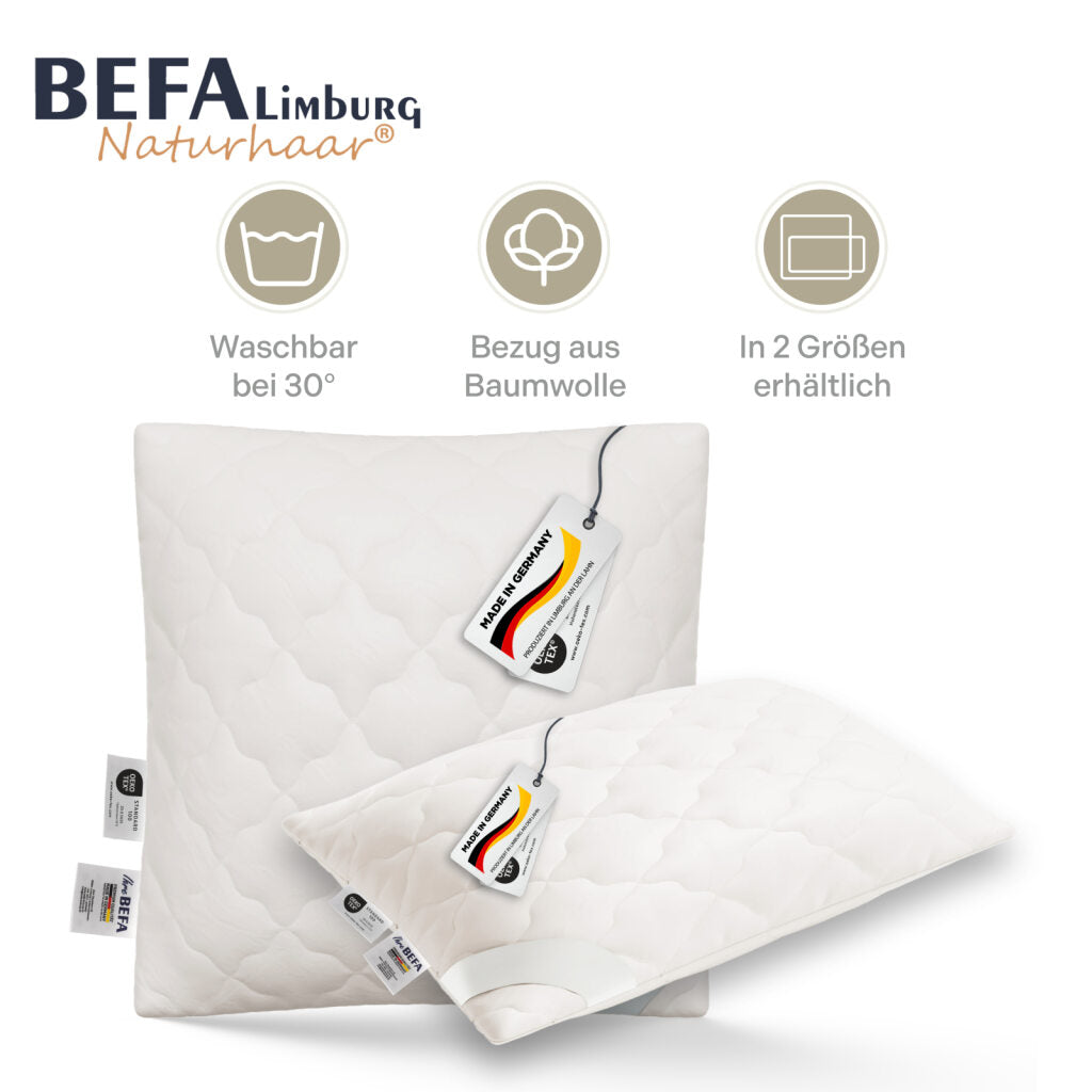 Kamelhaar Kopfkissen - 100% Kamelhaarfüllung | BEFA Limburg