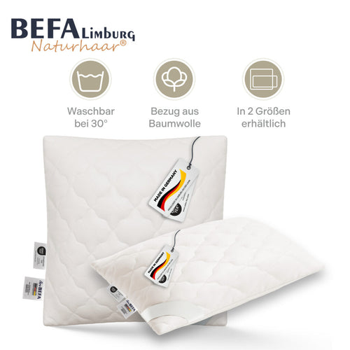 Bild 1 in Galerieansicht laden. Kamelhaar Kopfkissen - 100% Kamelhaarfüllung | BEFA Limburg