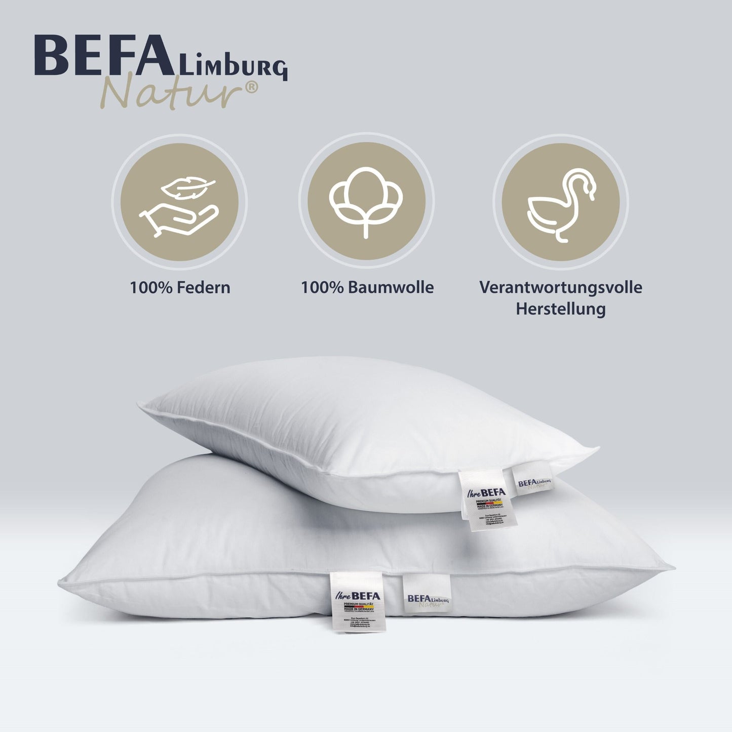 Federkissen - 100% Federn (2 Stück Set) - Detailansicht | BEFA Limburg