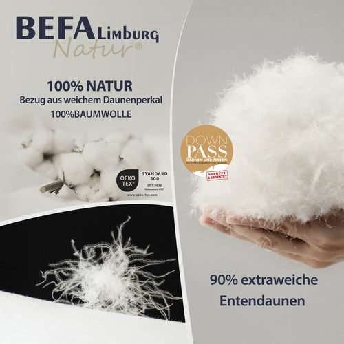Bild 1 in Galerieansicht laden. Daunendecke - 90% Daune, Sommerdecke (2 Stück Set) - Füllung | BEFA Limburg