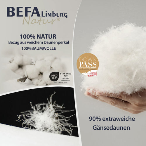 Bild 1 in Galerieansicht laden. Gänsedaunendecke – 90% Gänsedaune, Sommerdecke - Etikett | BEFA Limburg
