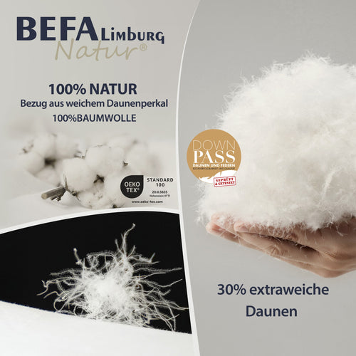 Bild 1 in Galerieansicht laden. Kopfkissen 30% Daunen (2 Stück Set) - Etikett | BEFA Limburg