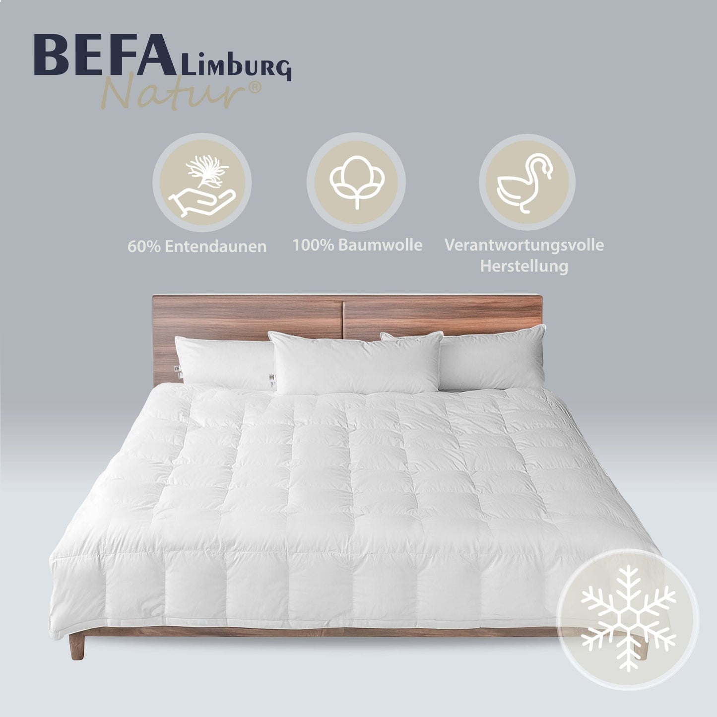 Daunendecke – 60% Daune, Winterdecke | BEFA Limburg