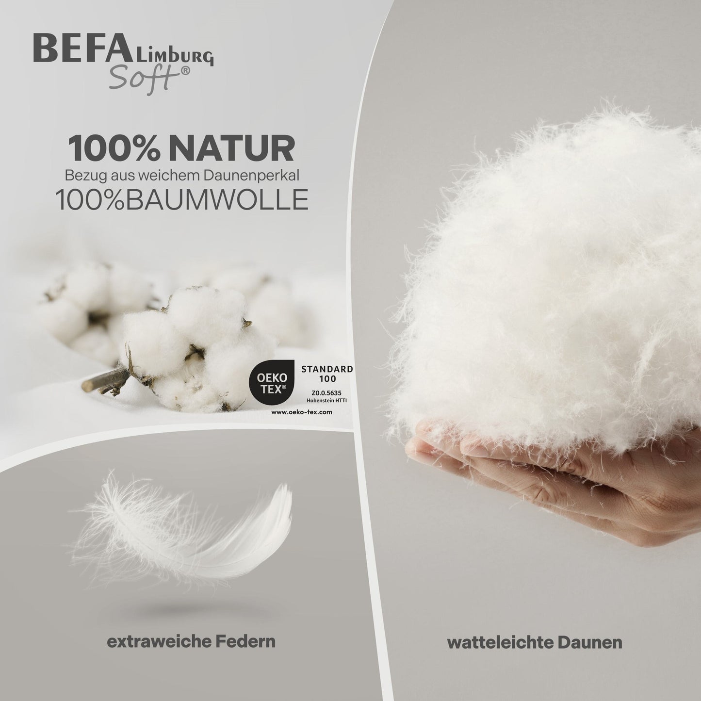 Federdecke - 90% Federn, Winterdecke - Nahaufnahme | BEFA Limburg