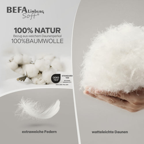 Bild 1 in Galerieansicht laden. Federdecke - 90% Federn, Winterdecke - Nahaufnahme | BEFA Limburg