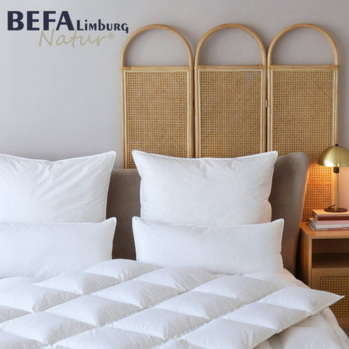 Bild 1 in Galerieansicht laden. Federkissen - 100% Federn (2 Stück Set) | BEFA Limburg
