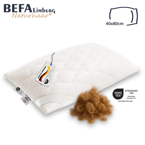 Bild 1 in Galerieansicht laden. Kamelhaar Kopfkissen - 100% Kamelhaarfüllung - Etikett | BEFA Limburg