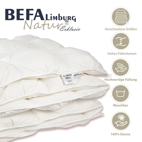 Bild 1 in Galerieansicht laden. Mont Blanc Bettdecke - 100% Daune, Ganzjahreszeiten - Detailansicht | BEFA Limburg