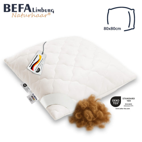 Bild 1 in Galerieansicht laden. Kamelhaar Kopfkissen - 100% Kamelhaarfüllung - Seitenansicht | BEFA Limburg
